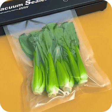 Vacuum Food Storage Bags 10 Units | SealFresh