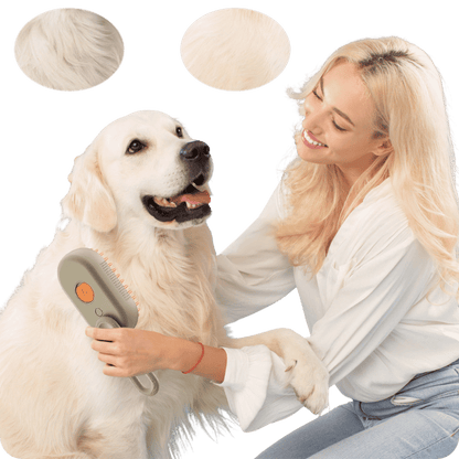 Steam Pet Brush | Pet Brush