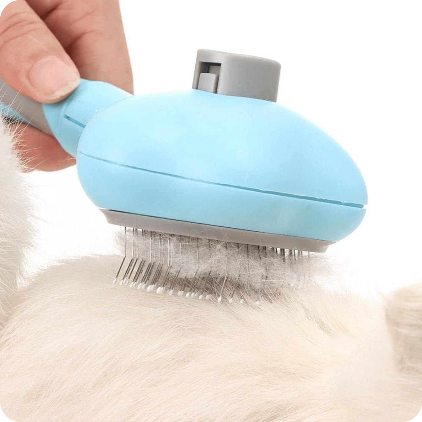 Metal Bristle Pet Brush | Pelufino Pro