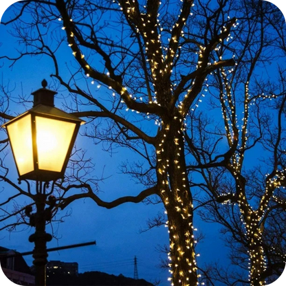 Solar Christmas Lights | SolarFest