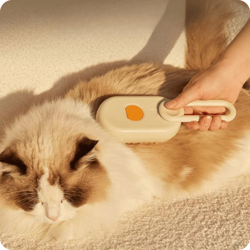 Steam Pet Brush | Pet Brush