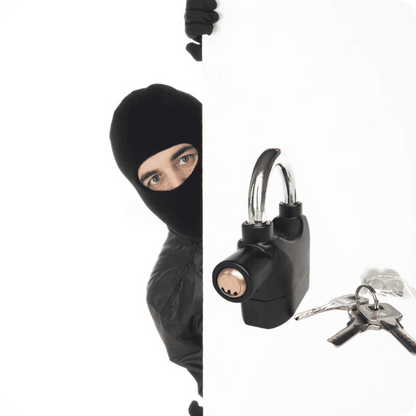 Security Lock with Alarm | Alarm Lock
