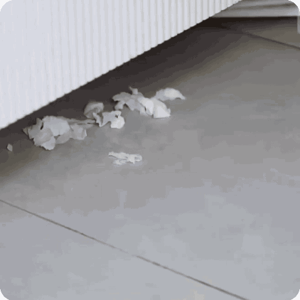 Broom with Wringer | FlexiClean 2-in-1