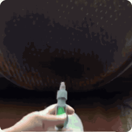 Bottle-Adaptable Sprayer | Spraymax